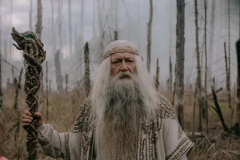 Последний богатырь 2 роли