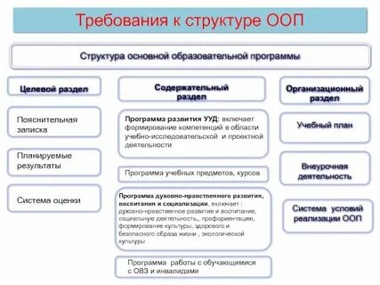 Общая образовательная программа это