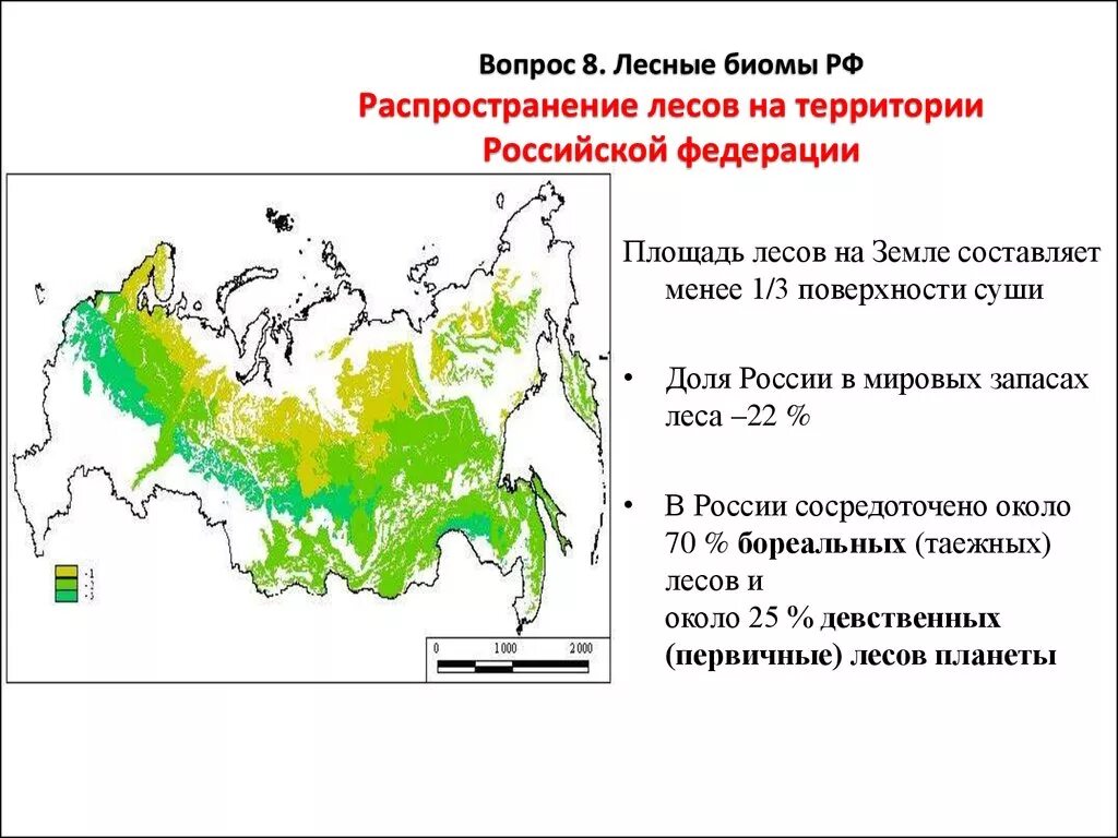 Какие леса встречаются на территории. Распространение лесов в России. Типы лесов в России карта. Широколиственные леса зона распространения в России. Карта распространения лесов.