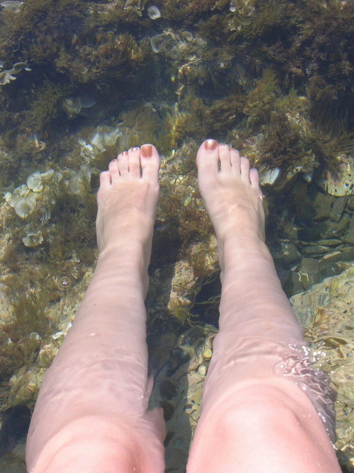 Feet relax. Ноги на речке. Ноги в воде. Босые ноги в воде. Женские ноги в воде.