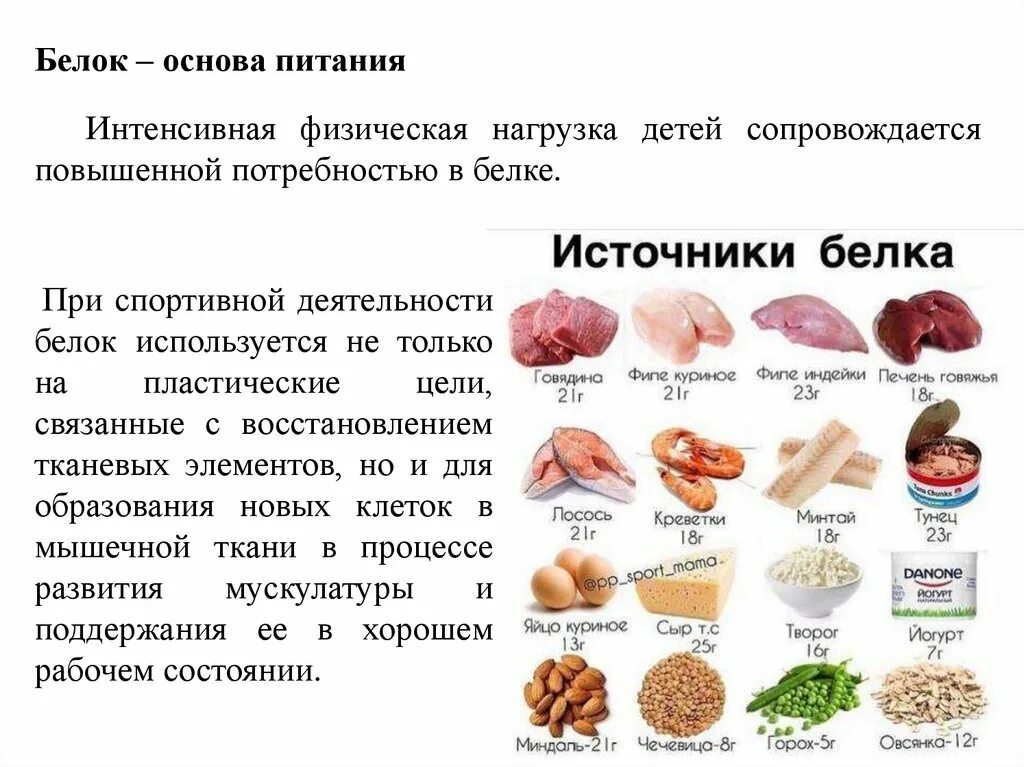 Человек белковый продукт. Питание белки. Белок основные источники. Белок питание для спортсменов. Основные источники белка в пищевых продуктах.