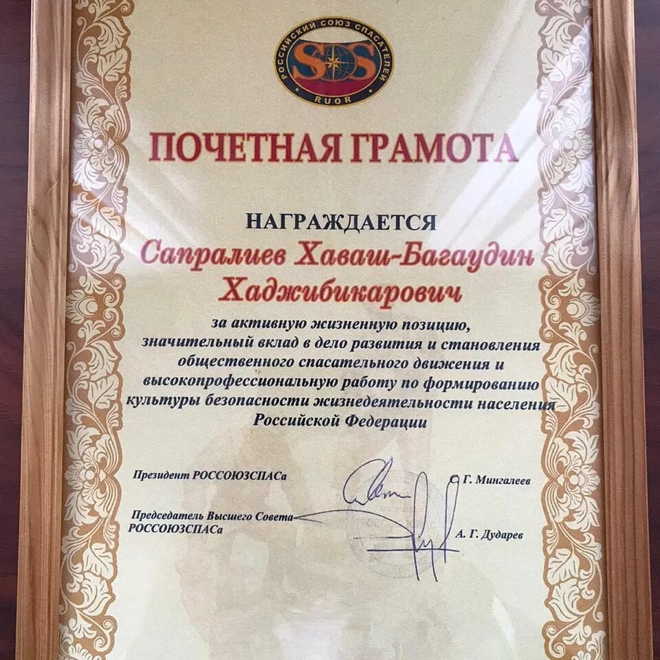 Благодарность за активную жизненную позицию. Награждена благодарностью. Благодарность за активную гражданскую позицию инициативность и. Почетная грамота главы города. Благодарность за активную жизненную позицию.