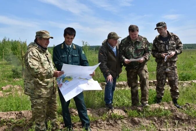 Природа Марий Эл Мари-Турекский. Охрана лесов Марий Эл. Минприроды Марий Эл. Достопримечательности Мари Турекского района Республики Марий Эл. Муниципальное образование марий эл