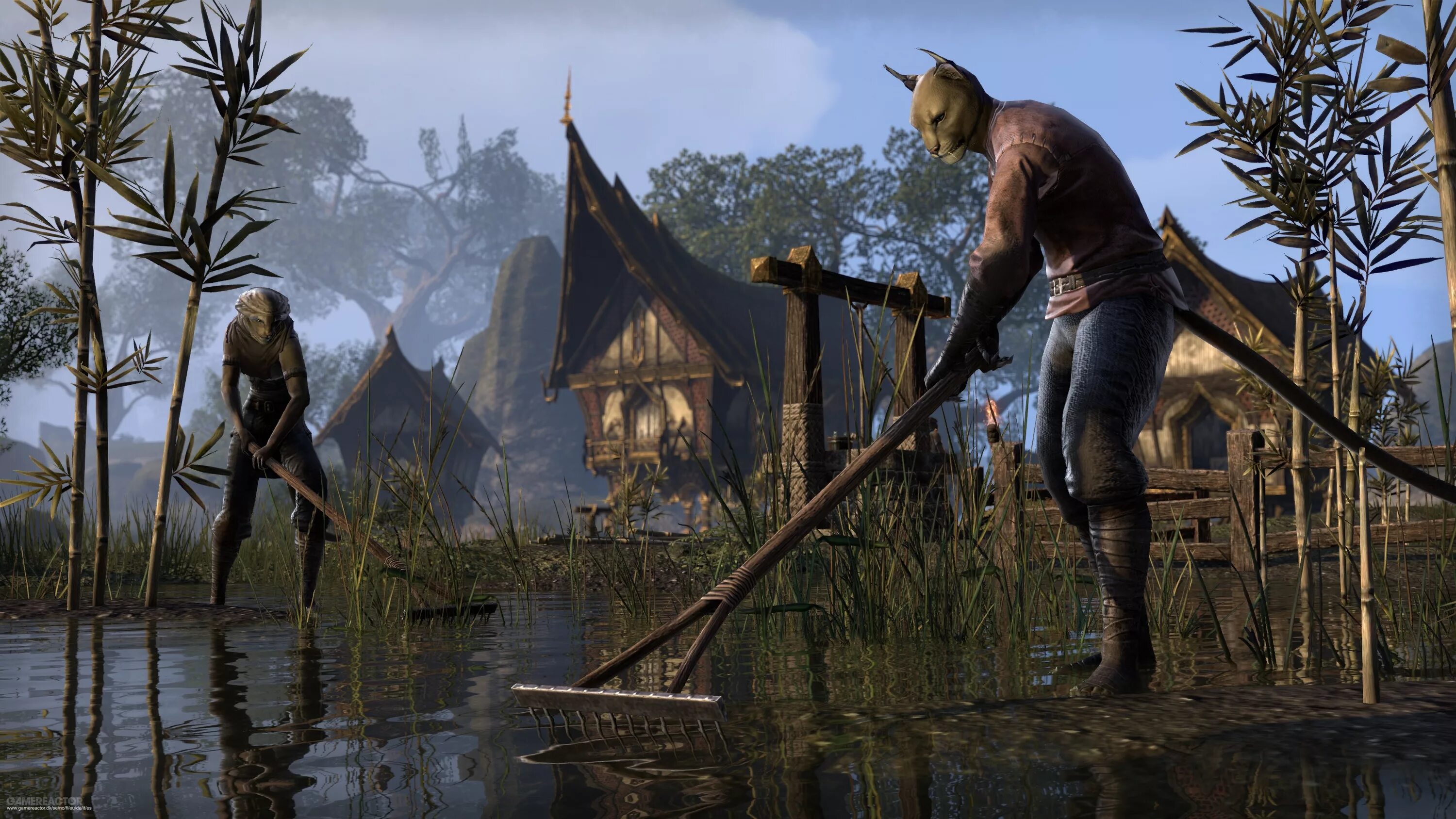 Когда выйдет tes 6. The elder scrolls 6. Скайрим 6 аргония. Tes 6 дата выхода. Starfield и the elder scrolls vi.