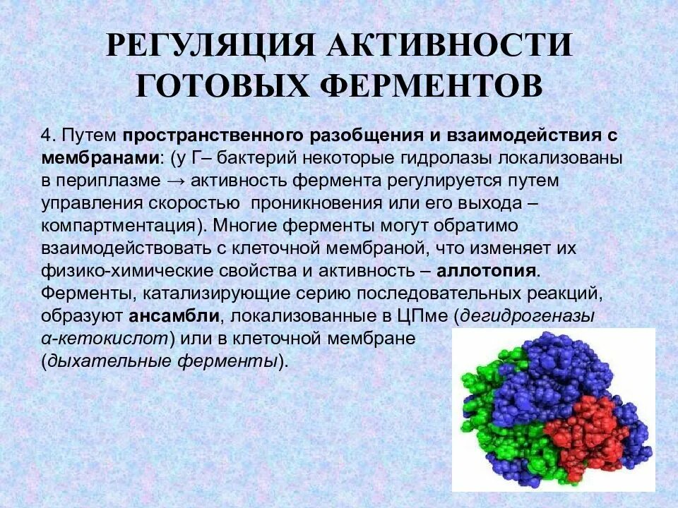 Ферментная регуляция обменных процессов. Регуляция метаболизма у микроорганизмов. Регуляция активности ферментов. Регуляция бактерий. Ферментативная активность микроорганизмов