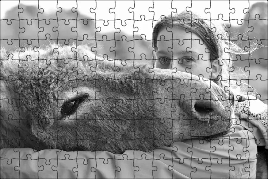Бриджит бардо и животные. Осёл девочка. Девушка на ишаке. Мужчина женщина и осел. Влюбленные ослы.