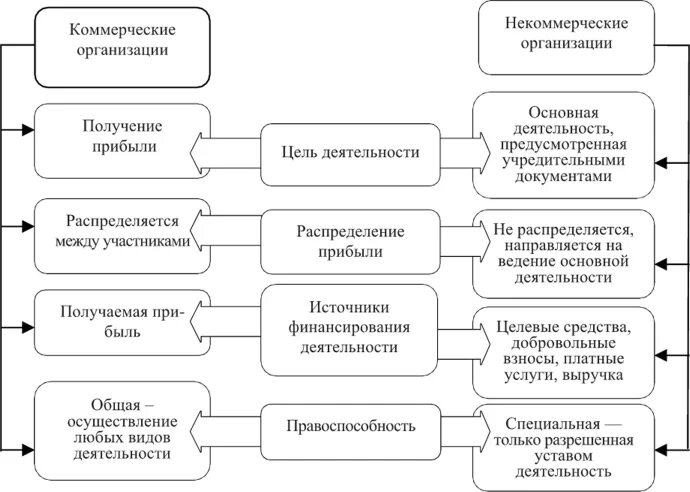 Некоммерческая организация выдала. Источники финансирования некоммерческих организаций. Функции некоммерческих организаций. Виды деятельности некоммерческих организаций. Особенности деятельности некоммерческих организаций.