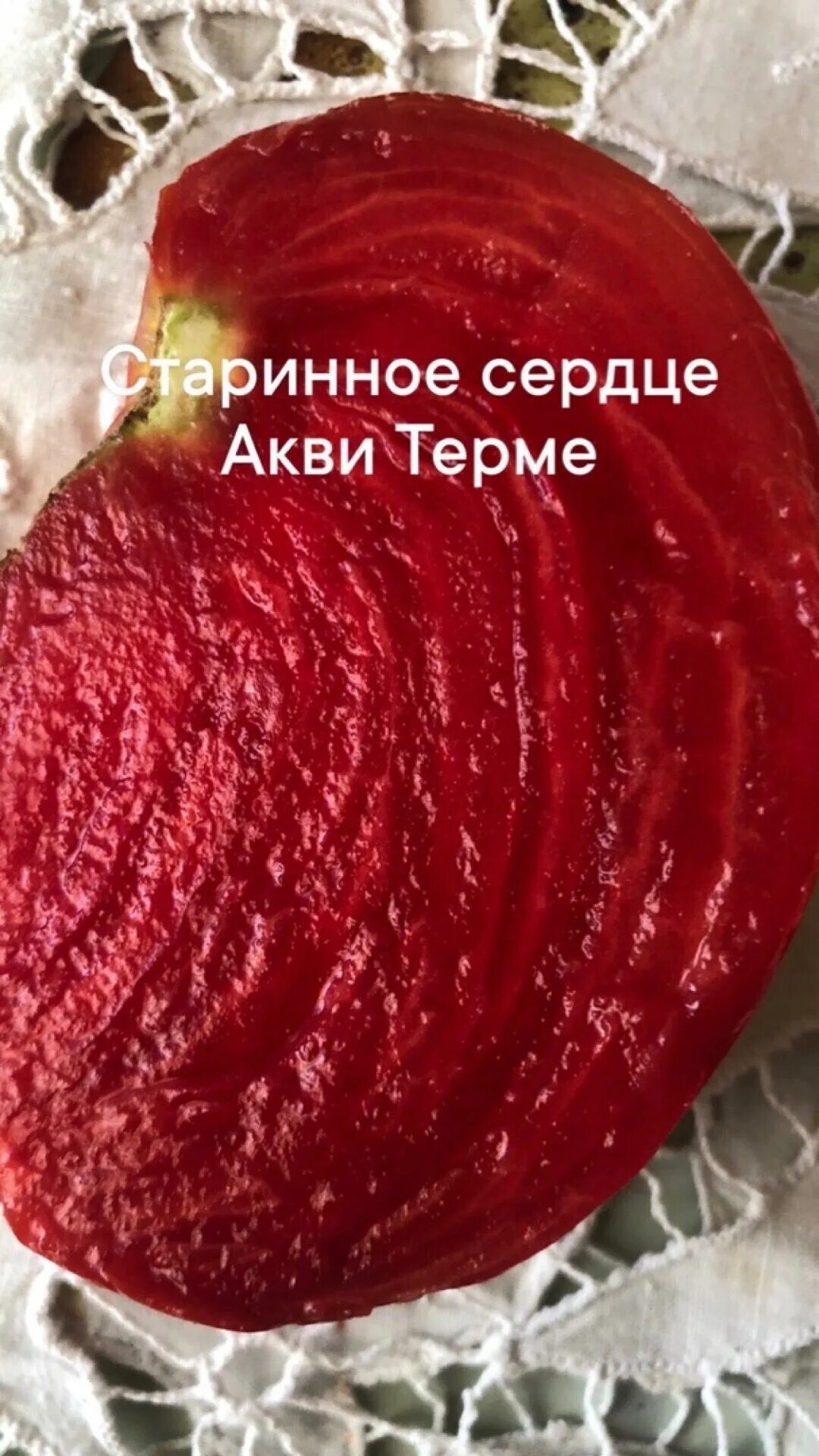 Cuore Antico di Acqui Terme Старинное сердце Акви Терме