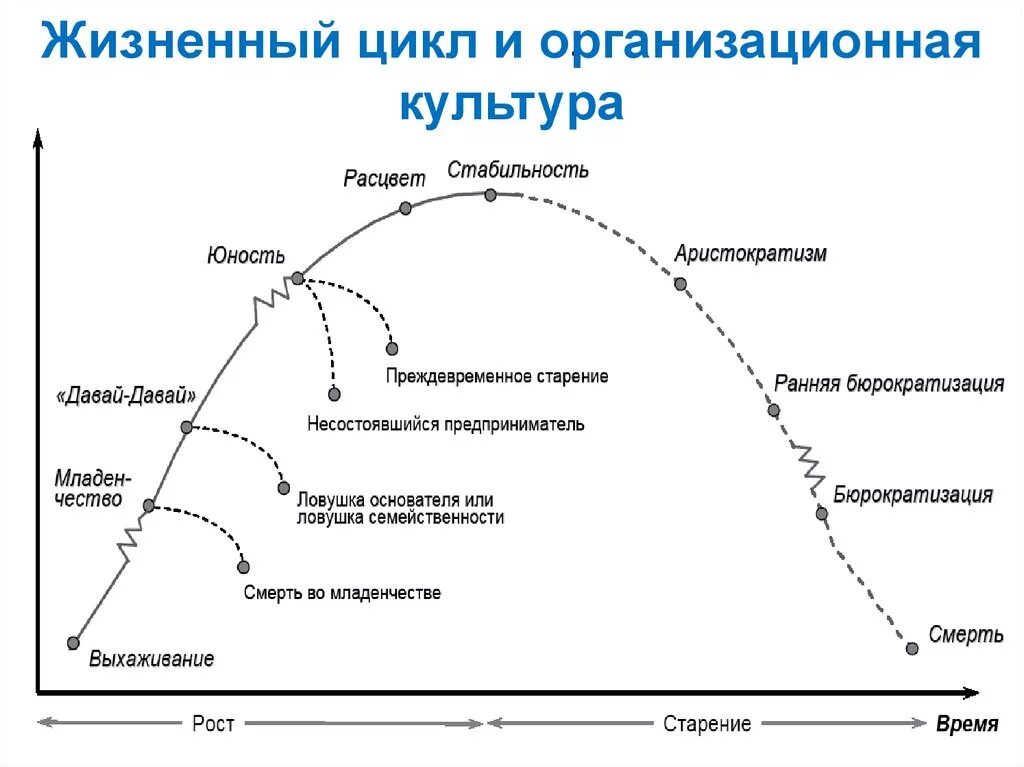 Описание жизненного цикла