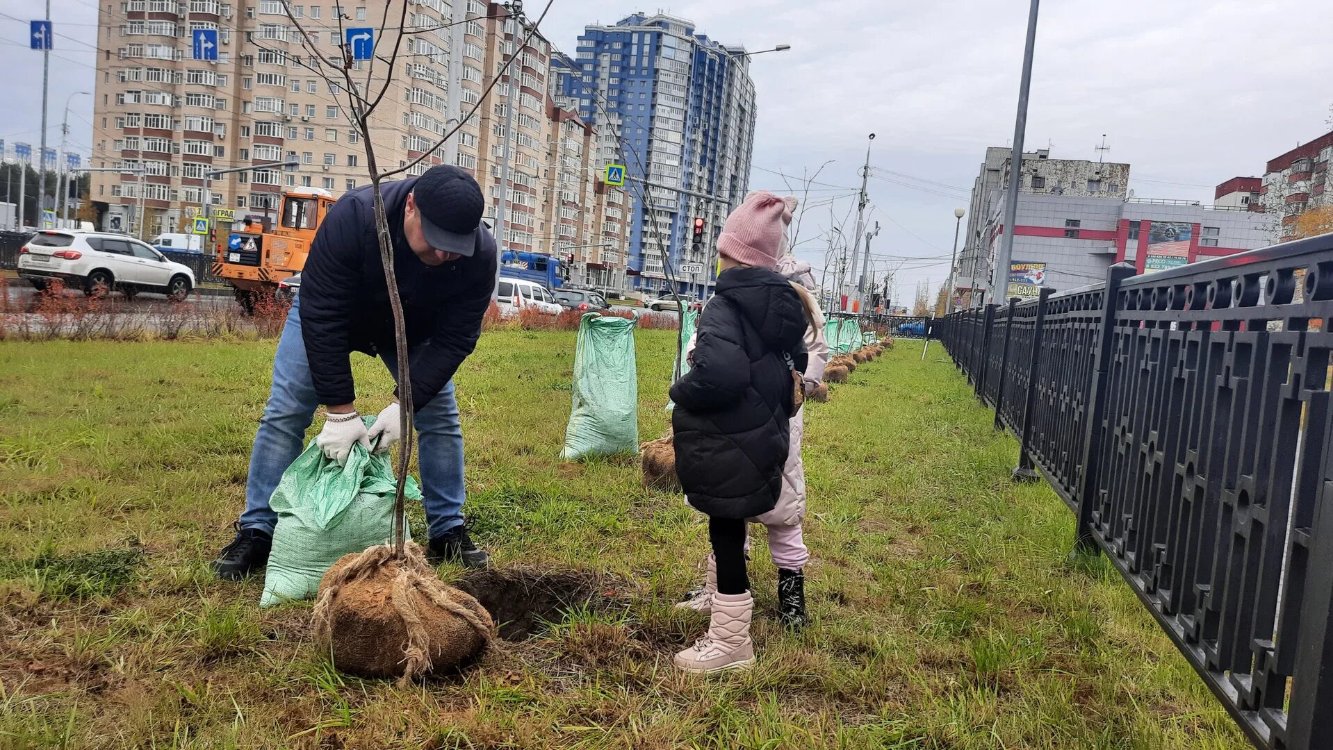 Наставников откроют. Аллея наставников. День посадки деревьев в Южной Корее. Аллея педагога и наставника.