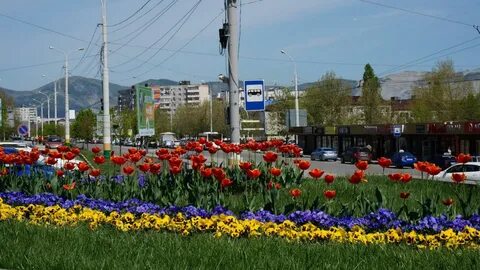 В цвет новороссийск