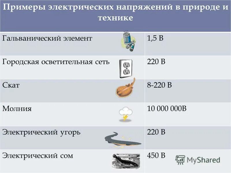 примеры химических реакций в природе. электризация в природе молния. напряжение в природе примеры. электрические явления в природе и технике. какие силы называются сторонними силами.
