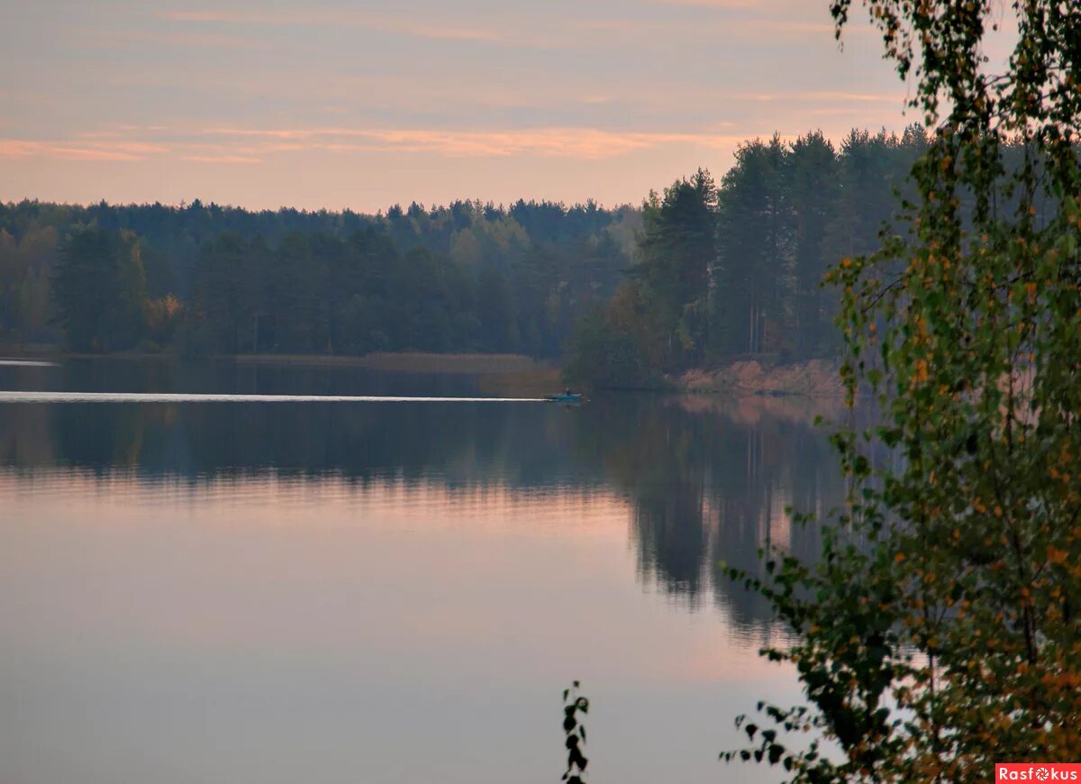 Озеро велье новгородская