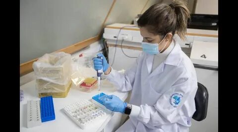 Вирус в великобритании