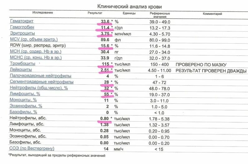 Повышенные гранулоциты в крови причины. Анализ крови нейтрофилы лимфоциты норма. Сегментоядерные нейтрофилы повышены. Повышены палочкоядерные нейтрофилы и эозинофилы. Сегментоядерные нейтрофилы в анализе крови.