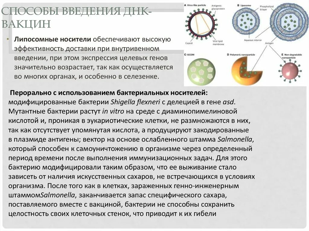 Методы введения днк. Схема получения ДНК вакцины. Способы введения ДНК вакцин. Генно-инженерные вакцины. Генная инженерия вакцины.