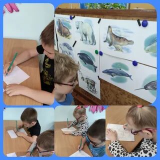 Темы занятий дефектологом