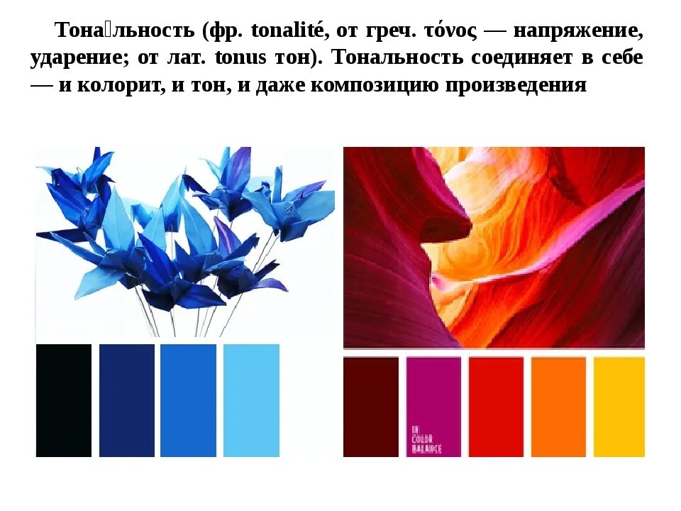 Цветы в холодную или теплую. Цветы в холодную или теплую