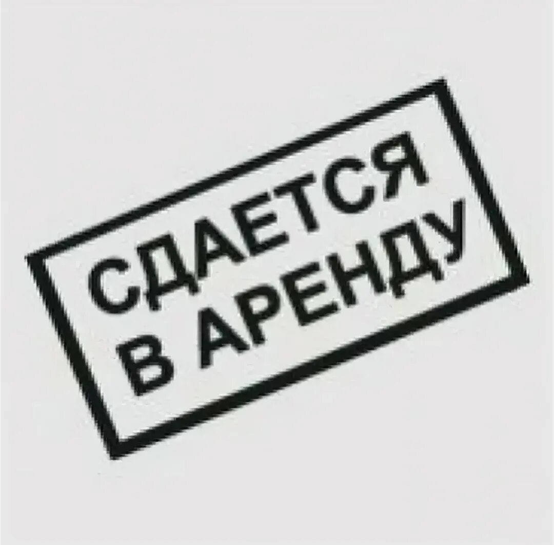 Сдается в найм