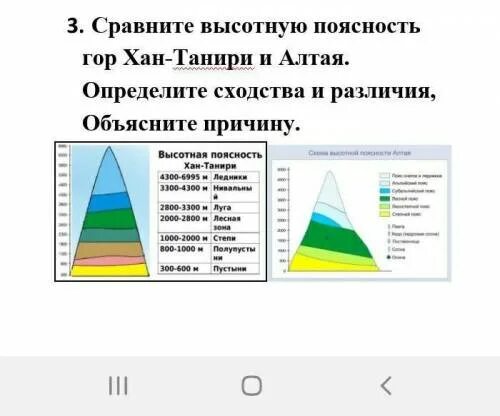 Структура высотной поясности гор алтай. Высотная поясность тянь шань. высотная поясность в горах алтая. высотная поясность северного тянь шаня. схема высотной поясности в горах алтая.