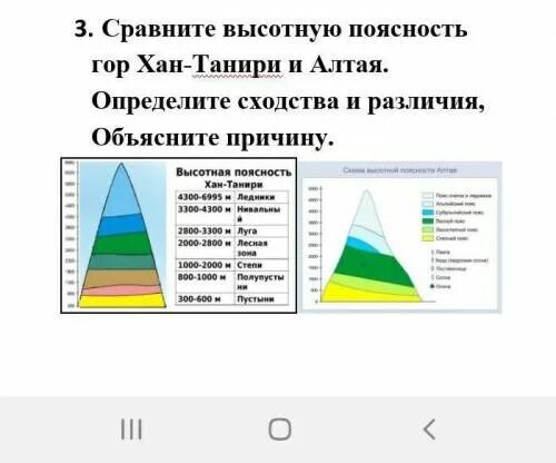 Высотная поясность Тянь Шань. Высотная поясность в горах Алтая. Высотная поясность Северного Тянь Шаня. Схема ВЫСОТНОЙ поясности в горах Алтая.