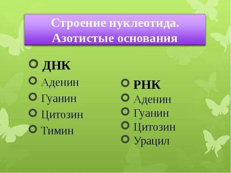 ДНК аденин гуанин цитозин Тимин. Азотистые основания аденин гуанин цитозин Тимин. ДНК И РНК аденин Тимин гуанин цитозин урацил. ДНК РНК аденин Тимин гуанин цитозин.