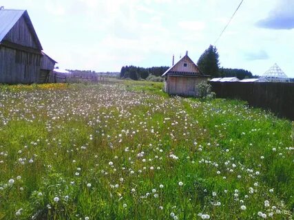 Деревня лобаново