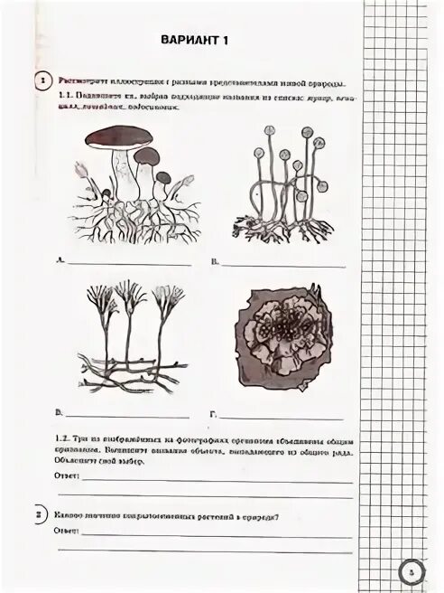 Впр биология вариант 2 ответы 11 класс. ВПР по биологии 6 класс 25 вариантов. ВПР по биологии 7 класс растения. ВПР биология 7 класс. ВПР по биологии 7 класс 2023 животные.