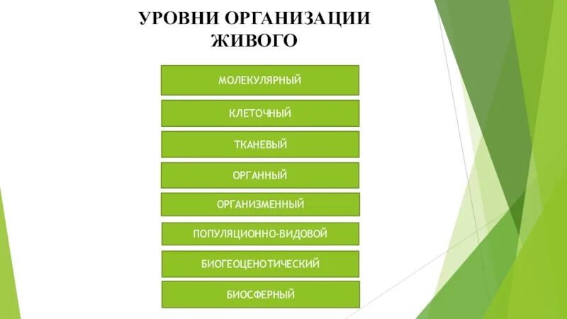 Уровни организации живого вещества. Уровни организации жизни биология схема. Формы организации живой материи. Уровень организации живой материи клеточный органный организменный. Уровни клеточный тканевый и организ.