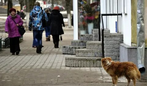 Типичный новгород