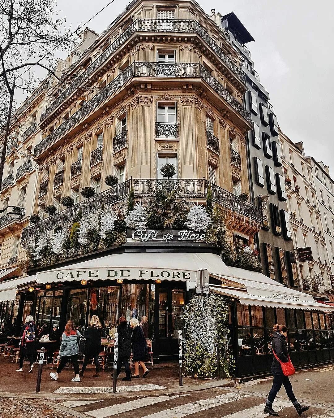 Cafe de Flore Париж. Кафе де Флор кафе. Кафе де Флор кафе в Париже. La fleur Париж кафе. Кафе де париж
