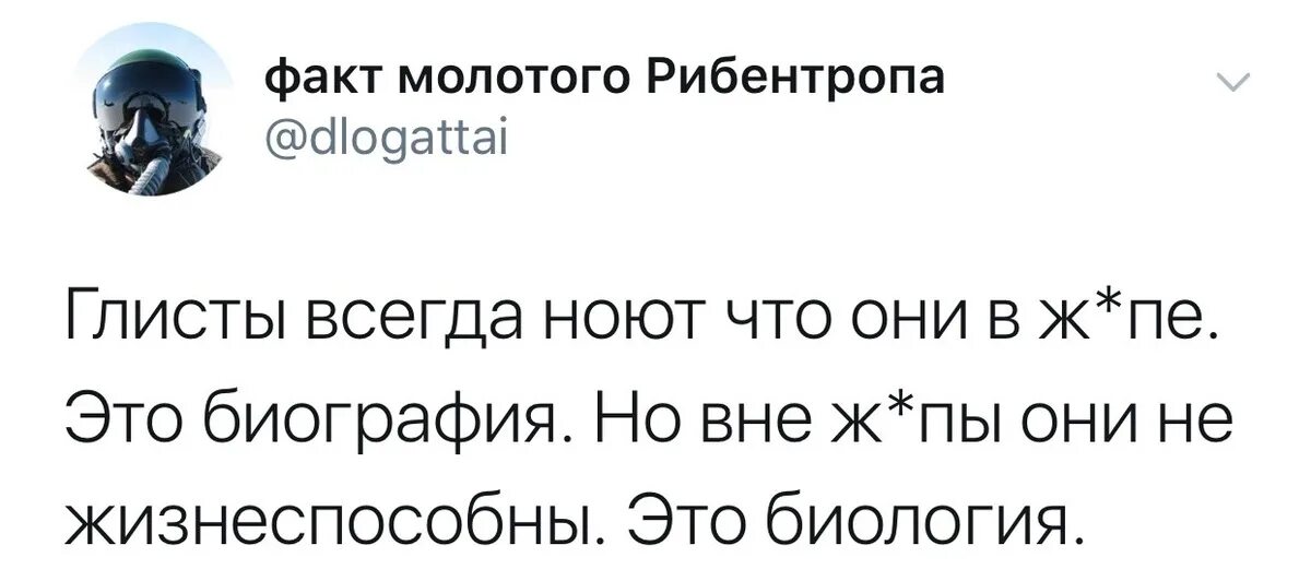 Глупые факты. Интересные и глупые факты. Тупые факты. Интересные тупые смешные факты.