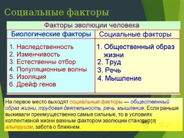 Социальные факторы эволюции сыграли решающую. Социальные факторы эволюции. Биологические и социальные факторы. Биологические и социальные факторы эволюции человека. Социальные факторы эволюции человека.