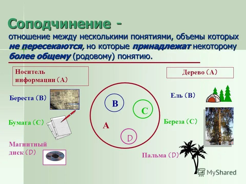 Какая связь существует между людьми