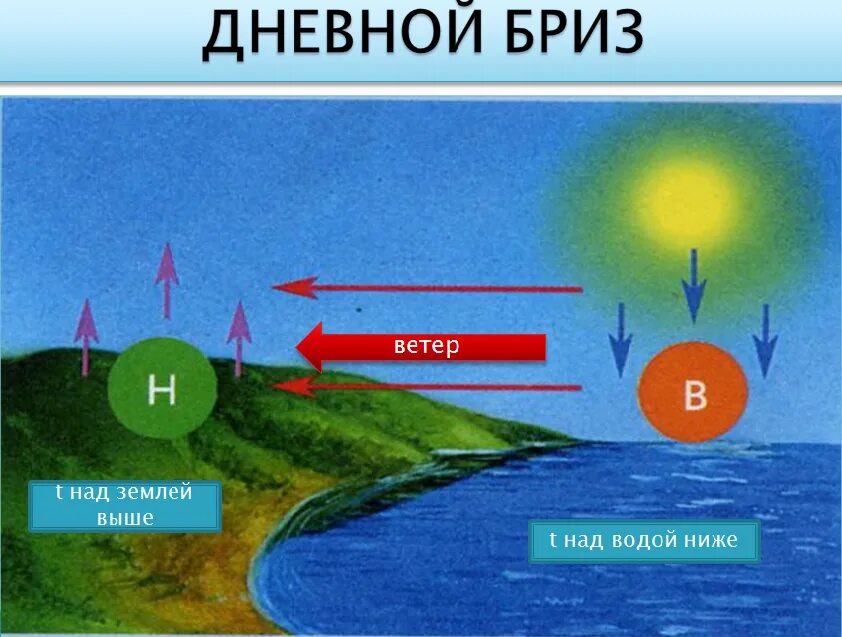 Дневной Бриз схема ветра. Что такое дневной Бриз в географии 6. Направление дневного и ночного бриза. Дневной и ночной Бриз.