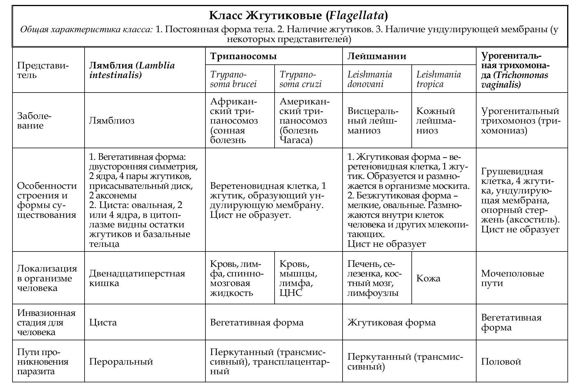 Сравнительная характеристика паразитических простейших таблица. Паразитические простейшие жгутиковые таблица. Характеристика паразитических жгутиковых таблица. Сравнительная характеристика типов простейших таблица. Основные группы простейших