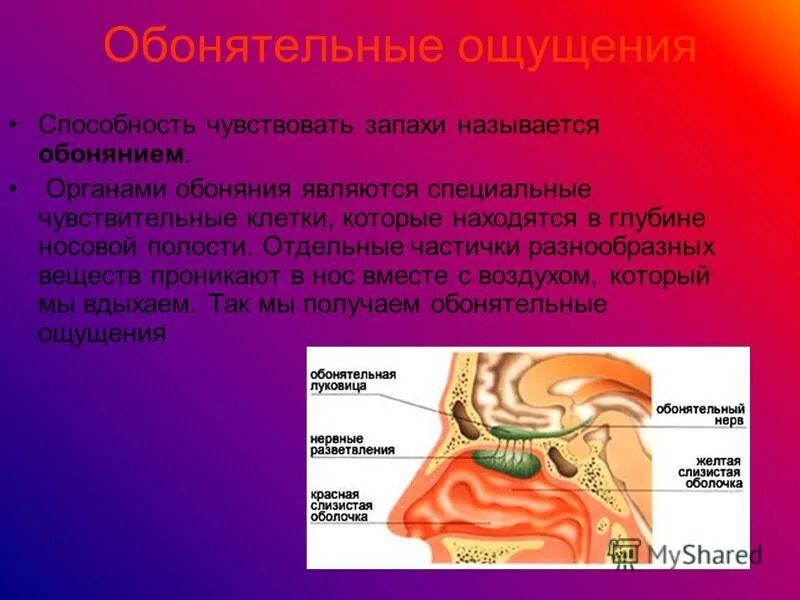 Ковид ощущения