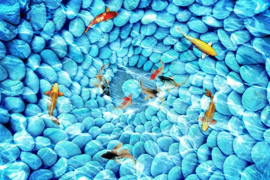 кафе с рыбками на полу. клариус альбинос. гуппи рыбки самки и самцы. рыбка астронотус. Amix coffee вьетнам.