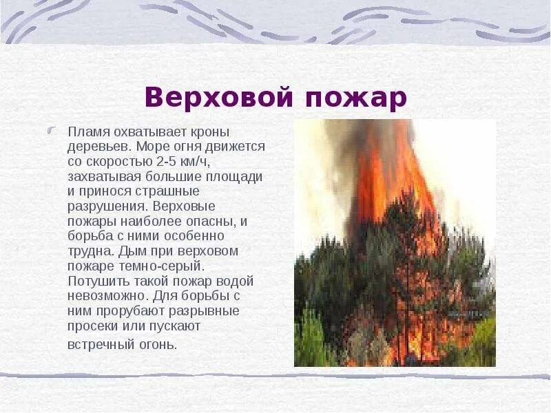 Верховой пожар наиболее опасен ответы. Верховой пожар. Верховой пожар наиболее. Верховой пожар наиболее опасен. Тип пожара охватывающий кроны деревьев.