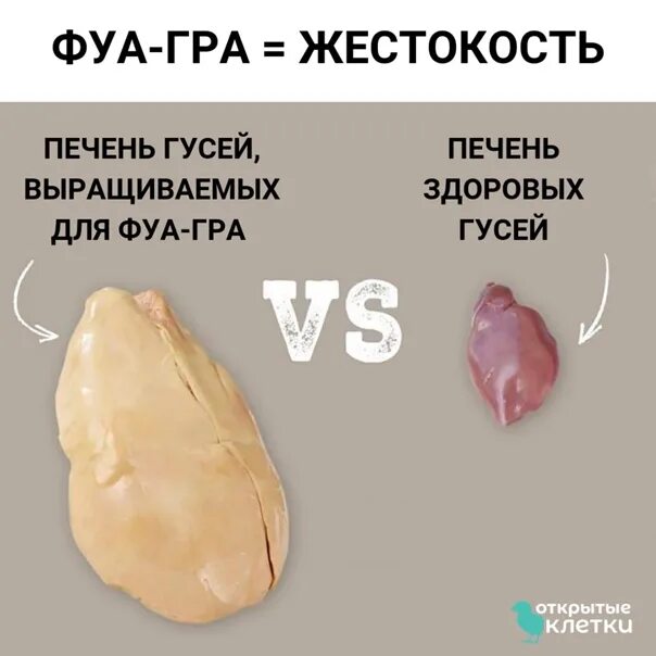 Афиша Город: 7 лучших ресторанов зимы Архив