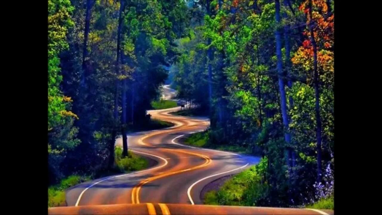 Туда ведет дорога. Дорога к счастью. У нас у каждого свой путь. У каждого своя дорога. Дорога к счастью иллюстрации.