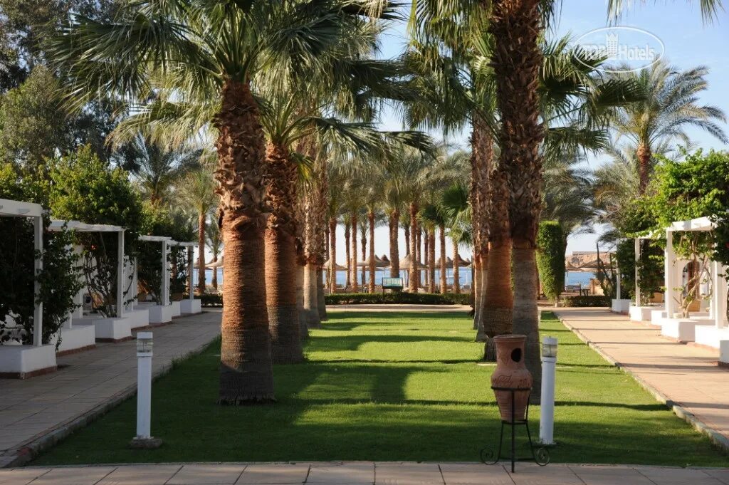Dessole Seti Sharm Resort. Seti Sharm Resort 4. Дессоле сети Шарм Египет. Fun&Sun Smart Seti Sharm 4*.