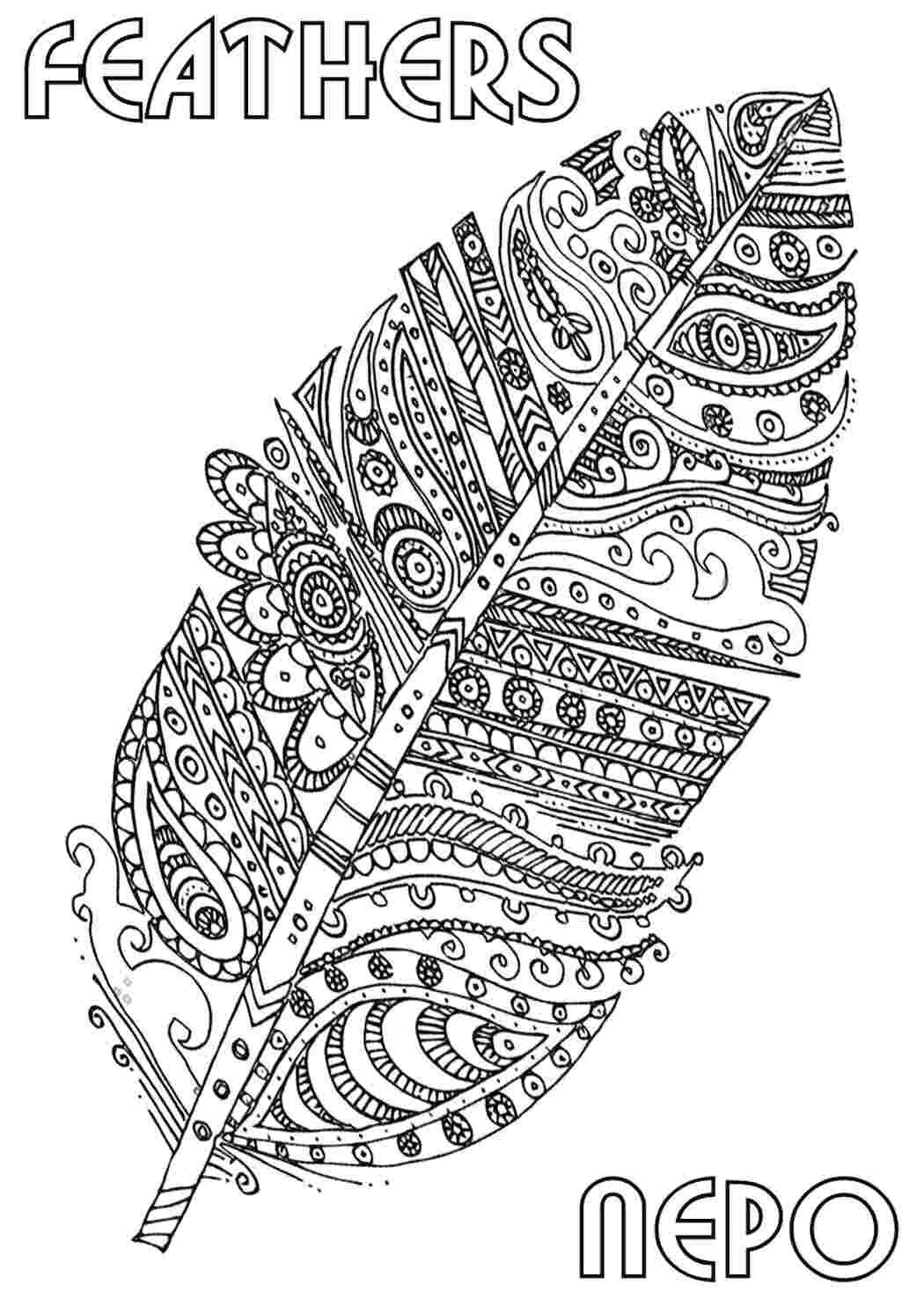 Раскраска перо птицы для детей распечатать Free Feather Cliparts, Download Free Feather Cliparts Png Images, Free 8B0