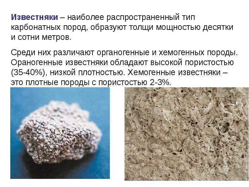 Известняк плотность. Хемогенный известняк. карбонатные породы. хемогенные осадочные горные породы. хемогенные и органогенные породы.
