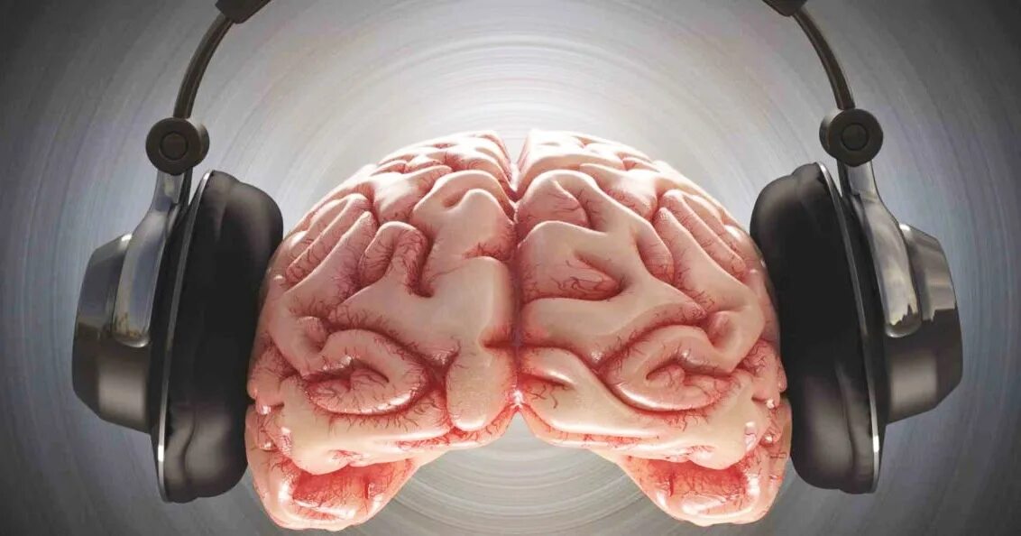 Brain sound. Звук и мозг. Красивый мозг. Мозг и наушники.