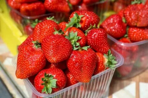 Клубника беларусь