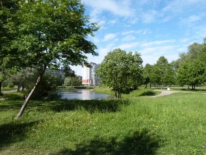 Включи парк 5