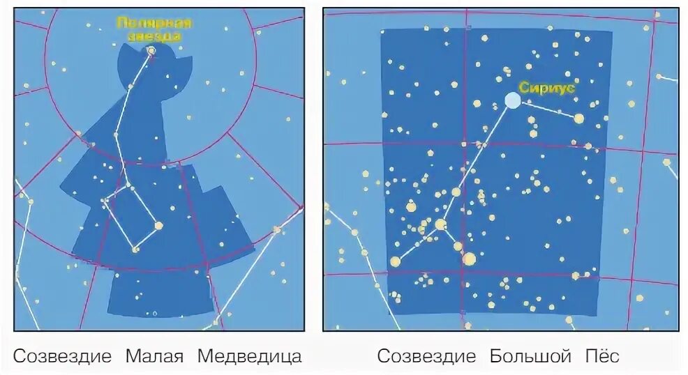 Звезда алиот созвездие большой медведицы. Малая медведица созвездие сириус. Созвездие малая медведица и большой пес. Полярная звезда созвездие окружающий мир 4 класс. Созвездия малая медведица, большой пес, тельца.