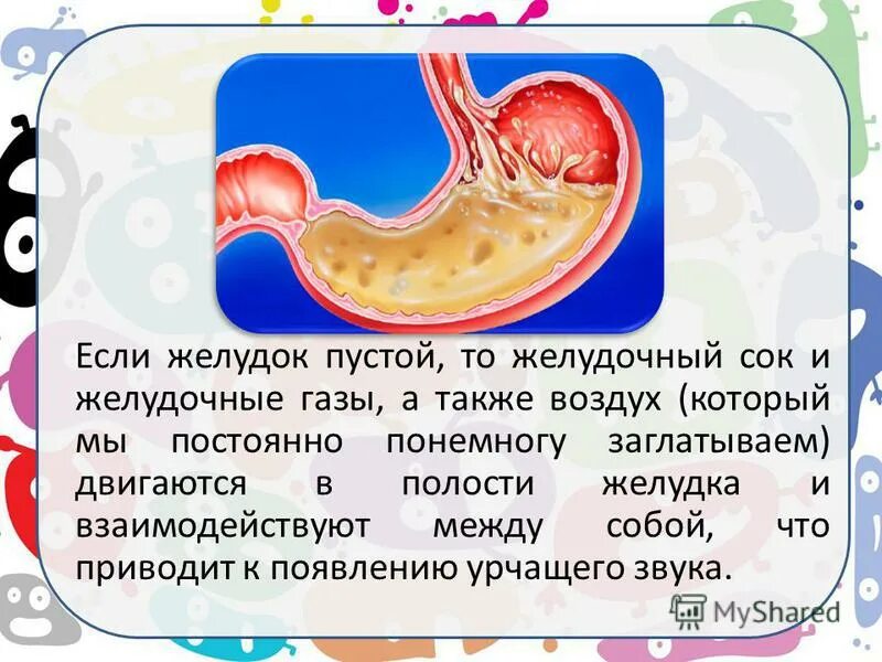 Почему урчит живот кишечник