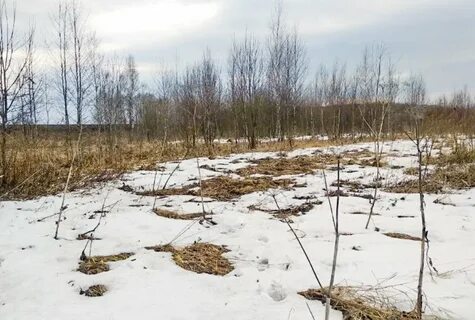 Ненадлежащее использование земельного участка